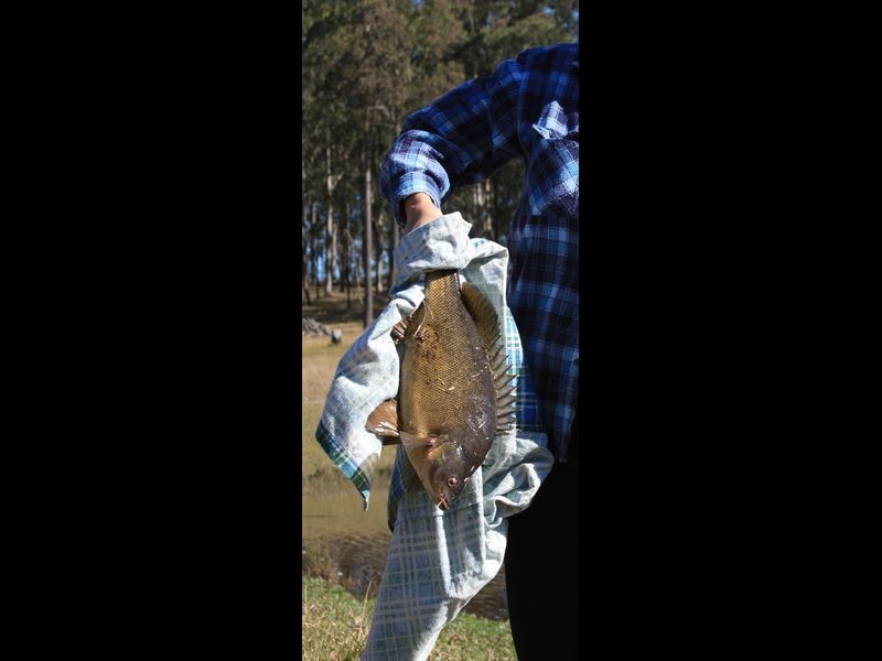 2058 Armidale Road, Willawarrin NSW 2440