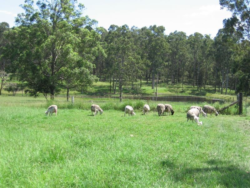 2058 Armidale Road, Willawarrin NSW 2440