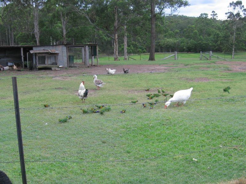 2058 Armidale Road, Willawarrin NSW 2440