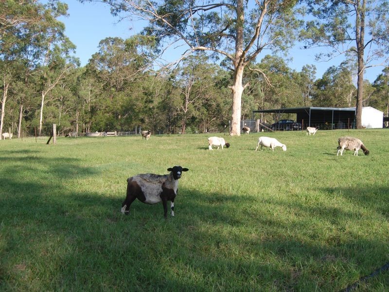 2058 Armidale Road, Willawarrin NSW 2440