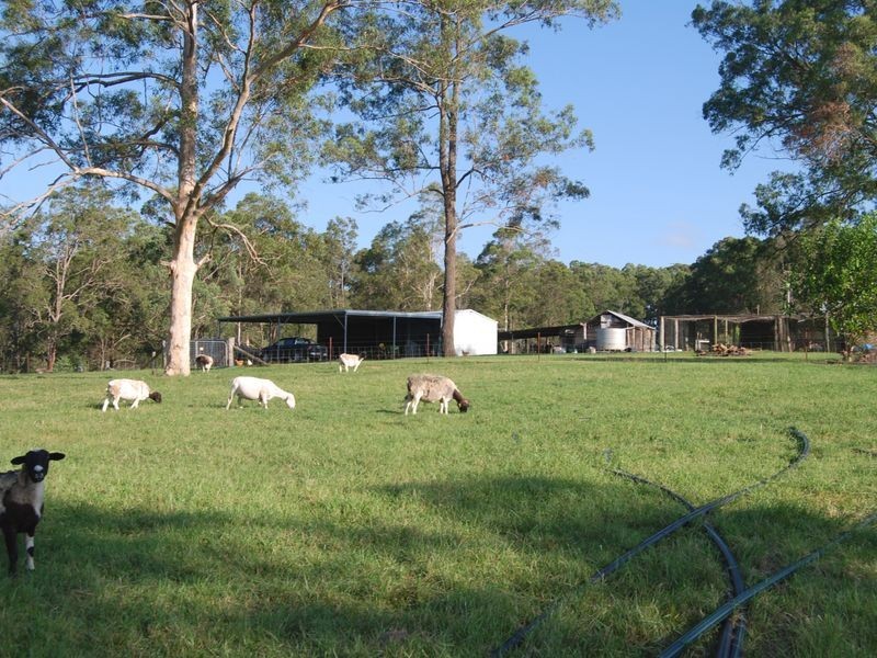 2058 Armidale Road, Willawarrin NSW 2440