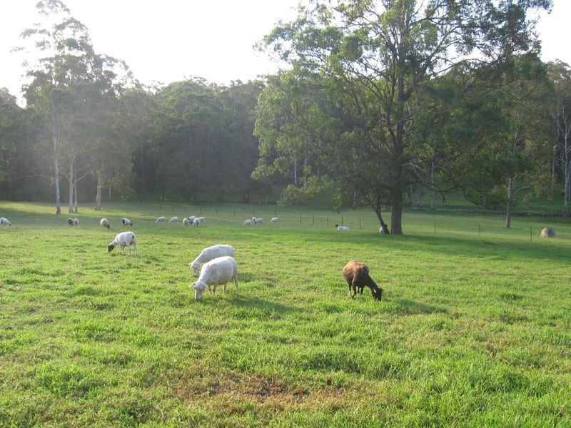 2058 Armidale Road, Willawarrin NSW 2440