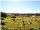 1268 Collombatti Road, Collombatti NSW 2440