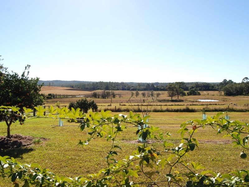 1268 Collombatti Road, Collombatti NSW 2440