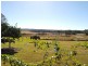 1268 Collombatti Road, Collombatti NSW 2440