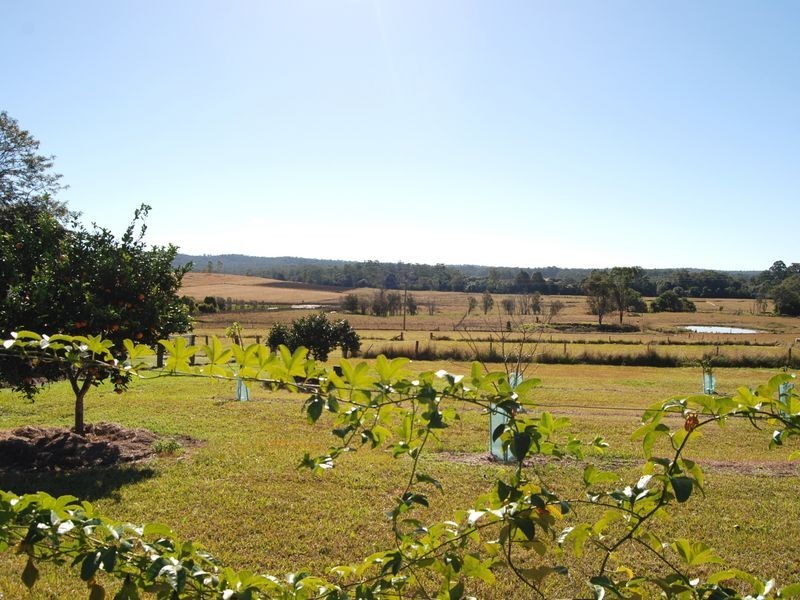 1268 Collombatti Road, Collombatti NSW 2440