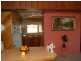 1268 Collombatti Road, Collombatti NSW 2440