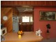 1268 Collombatti Road, Collombatti NSW 2440