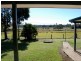1268 Collombatti Road, Collombatti NSW 2440