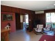 1268 Collombatti Road, Collombatti NSW 2440