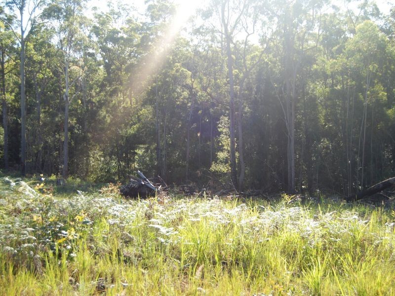 Lot 2 108 Settlers Way, South Kempsey NSW 2440