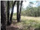 Lot 7 Armidale Road, Willawarrin NSW 2440