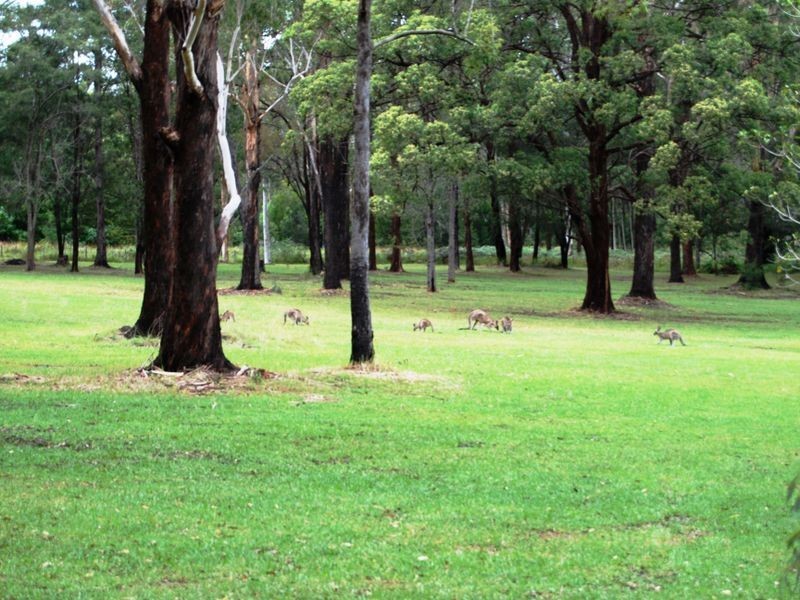 404 Old Station Road, Kempsey NSW 2440