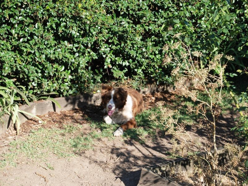 108 Broughton Street, Kempsey NSW 2440