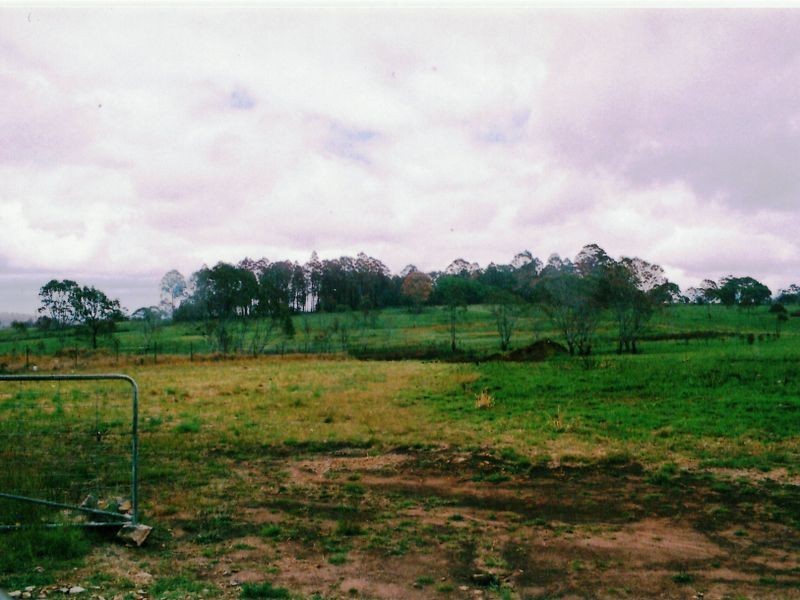 1311 Cochrane Fire Trail, Carrai NSW 2440