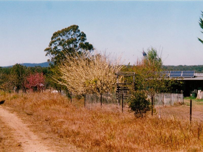 1311 Cochrane Fire Trail, Carrai NSW 2440