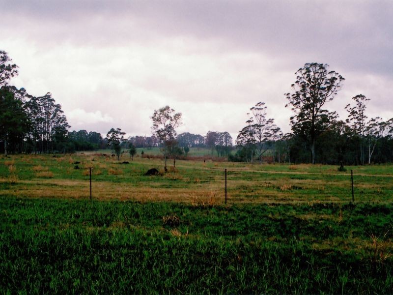 1311 Cochrane Fire Trail, Carrai NSW 2440