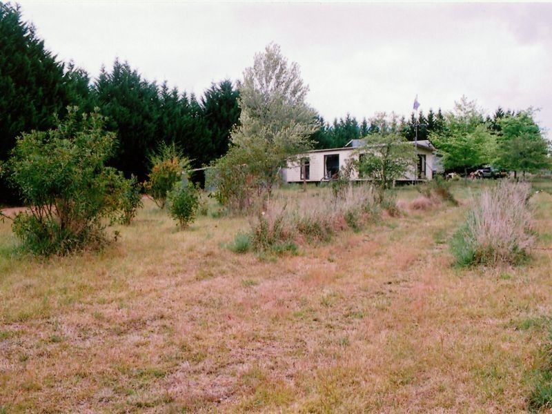 1311 Cochrane Fire Trail, Carrai NSW 2440