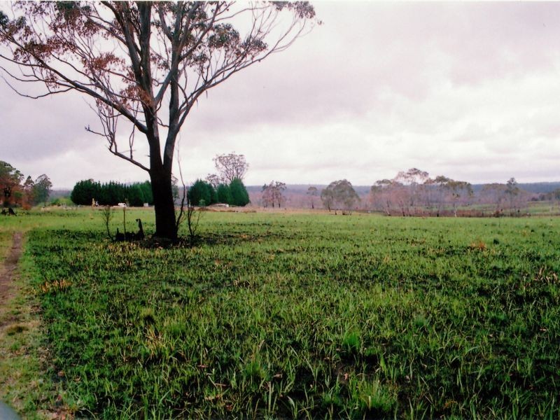 1311 Cochrane Fire Trail, Carrai NSW 2440