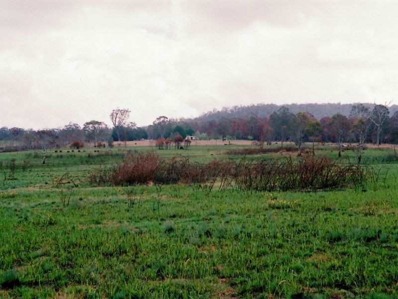 1311 Cochrane Fire Trail, Carrai NSW 2440