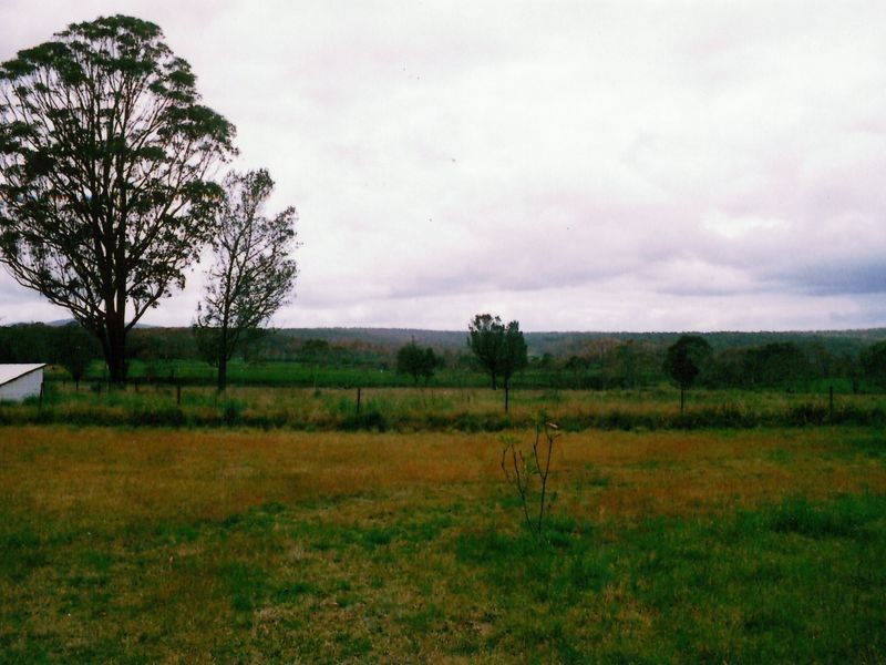 1311 Cochrane Fire Trail, Carrai NSW 2440