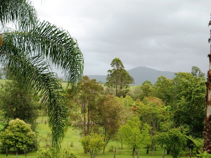 195 Sherwood Road, Aldavilla NSW 2440