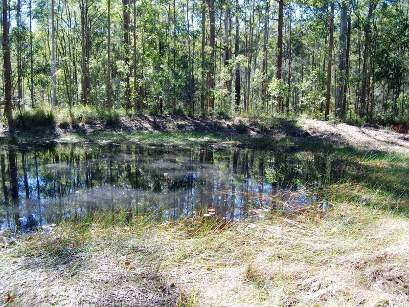 1148 Collombatti Road, Collombatti NSW 2440