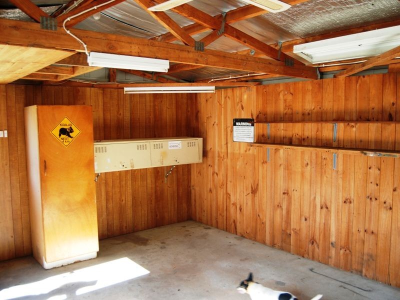 1148 Collombatti Road, Collombatti NSW 2440