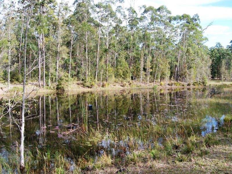 33 Barraganyatti Hut Rd, Stuarts Point NSW 2441