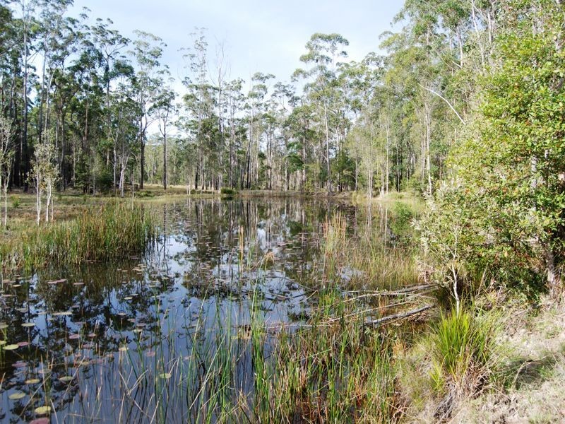 33 Barraganyatti Hut Rd, Stuarts Point NSW 2441