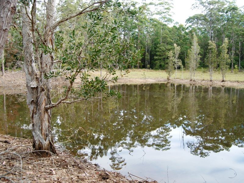 33 Barraganyatti Hut Rd, Stuarts Point NSW 2441