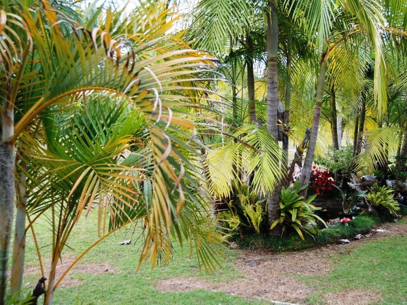 33 Barraganyatti Hut Rd, Stuarts Point NSW 2441