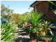 43 Bloomfield Street, Kempsey NSW 2440