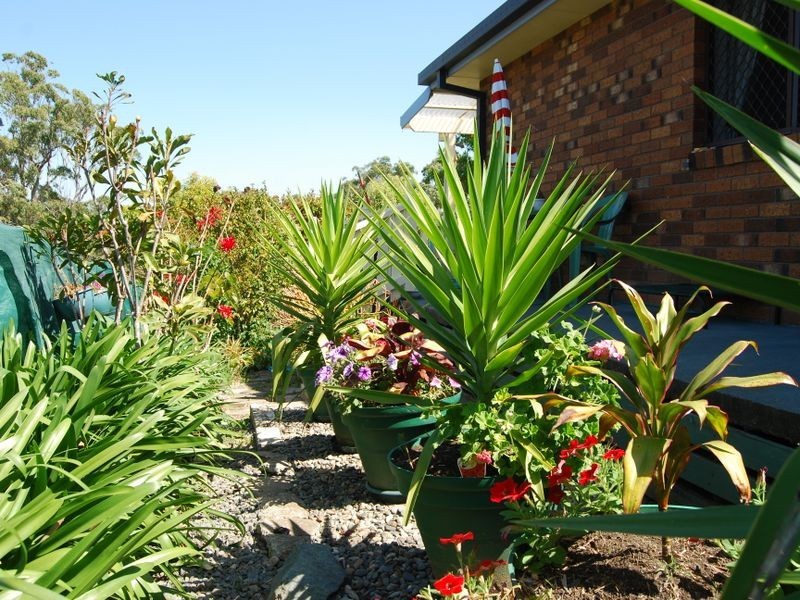 43 Bloomfield Street, Kempsey NSW 2440