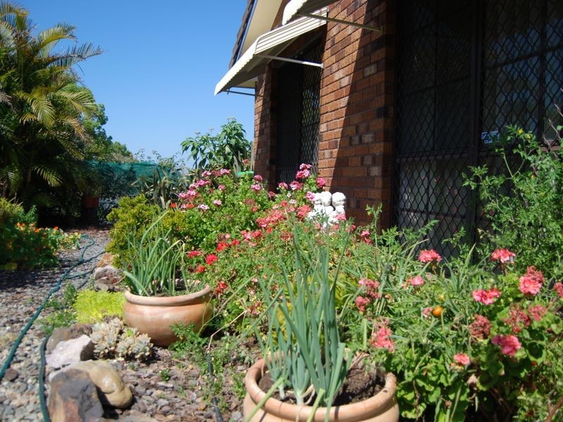 43 Bloomfield Street, Kempsey NSW 2440