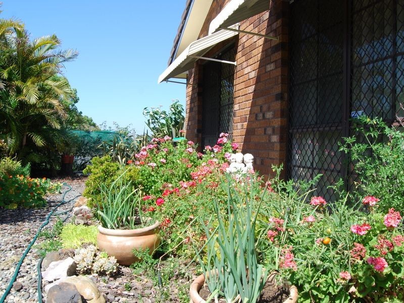 43 Bloomfield Street, Kempsey NSW 2440