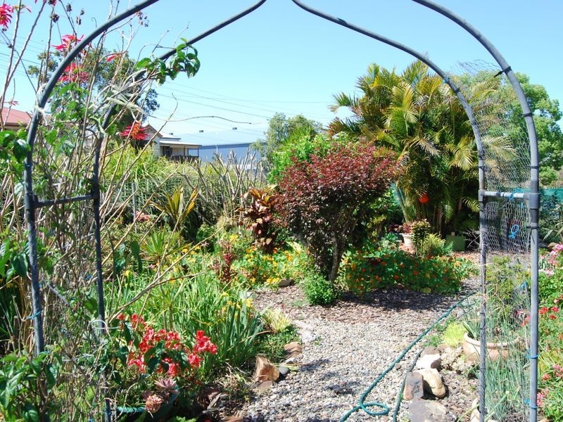 43 Bloomfield Street, Kempsey NSW 2440