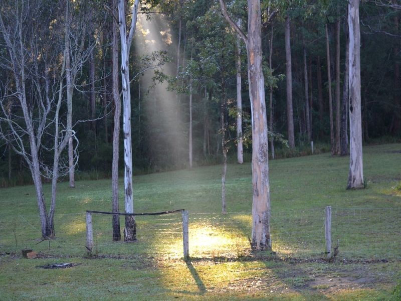 61 Brushbox Crescent, Yarravel NSW 2440