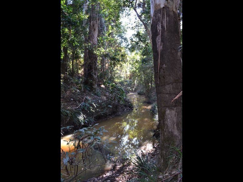 61 Brushbox Crescent, Yarravel NSW 2440