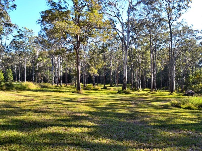 61 Brushbox Crescent, Yarravel NSW 2440