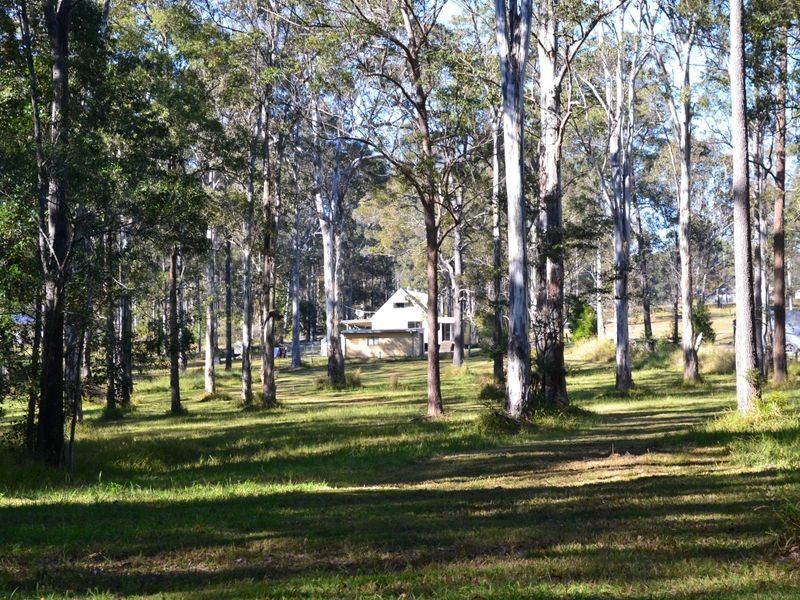 61 Brushbox Crescent, Yarravel NSW 2440