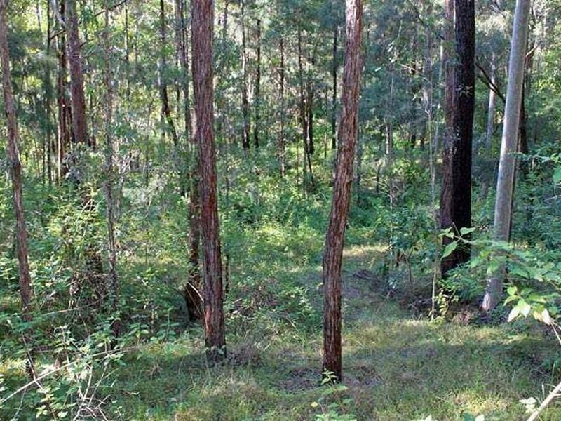32A Earth First Road, Mungay Creek NSW 2440