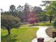 11 Haven Crescent, Yarravel NSW 2440