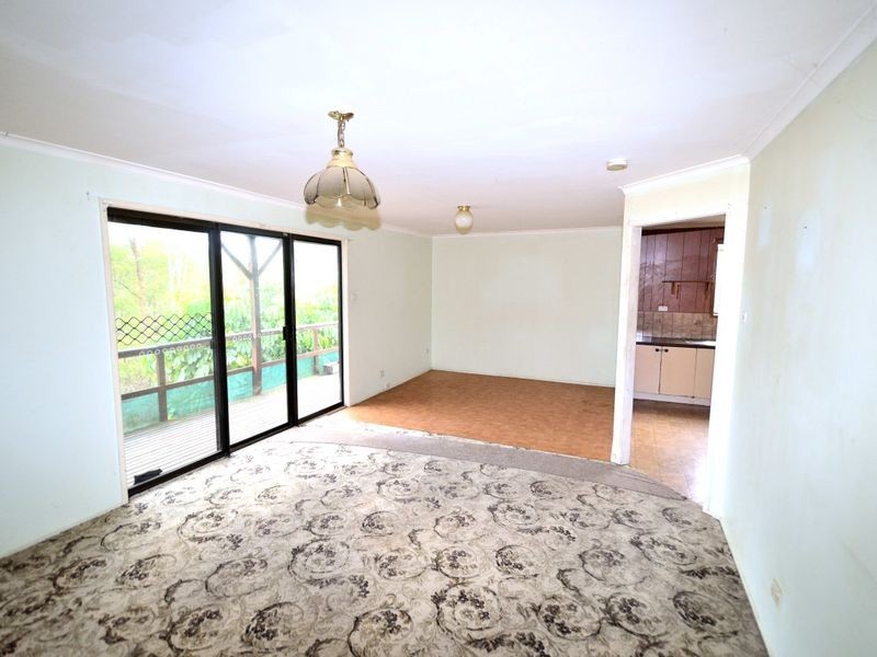 3560 Armidale Road, Bellbrook NSW 2440