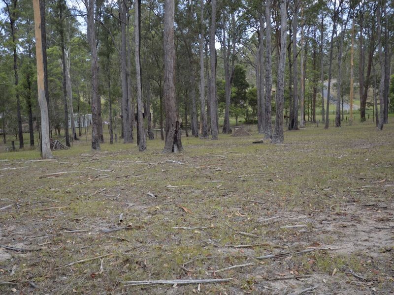 25 Brushbox Crescent, Yarravel NSW 2440