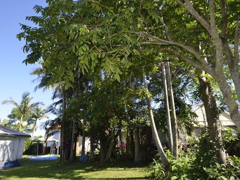 25 Lawson Street, Frederickton NSW 2440