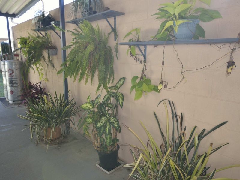 46 Tabrett Street, West Kempsey NSW 2440