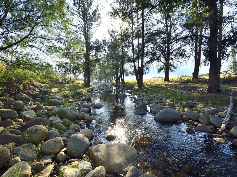 8199 Armidale Road, Lower Creek NSW 2440