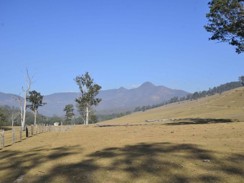 8199 Armidale Road, Lower Creek NSW 2440