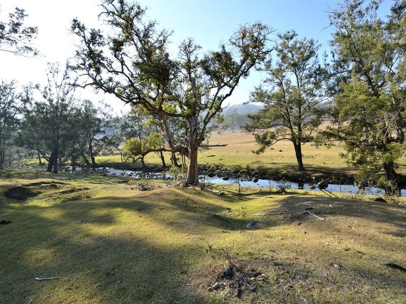 8199 Armidale Road, Lower Creek NSW 2440